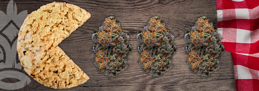 TOP 5 GEZONDE SNACKS VOOR STONERS